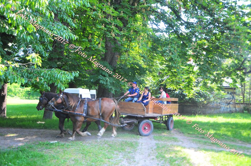 DSC_0891.JPG